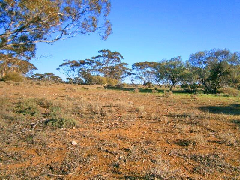 Section 113 Sturt Highway, Blanchetown SA 5357
