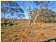 Section 113 Sturt Highway, Blanchetown SA 5357