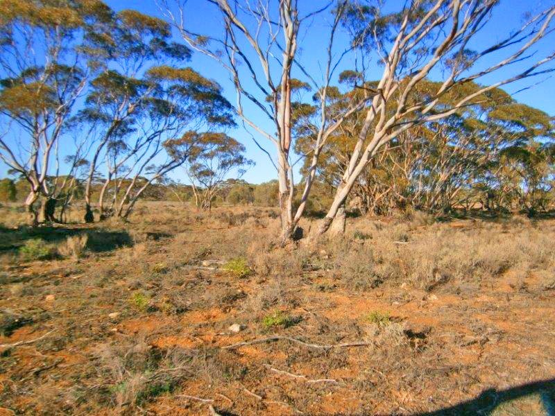Section 113 Sturt Highway, Blanchetown SA 5357