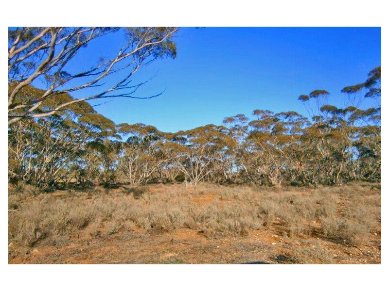 Section 113 Sturt Highway, Blanchetown SA 5357