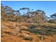Section 113 Sturt Highway, Blanchetown SA 5357