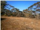 Section 113 Sturt Highway, Blanchetown SA 5357