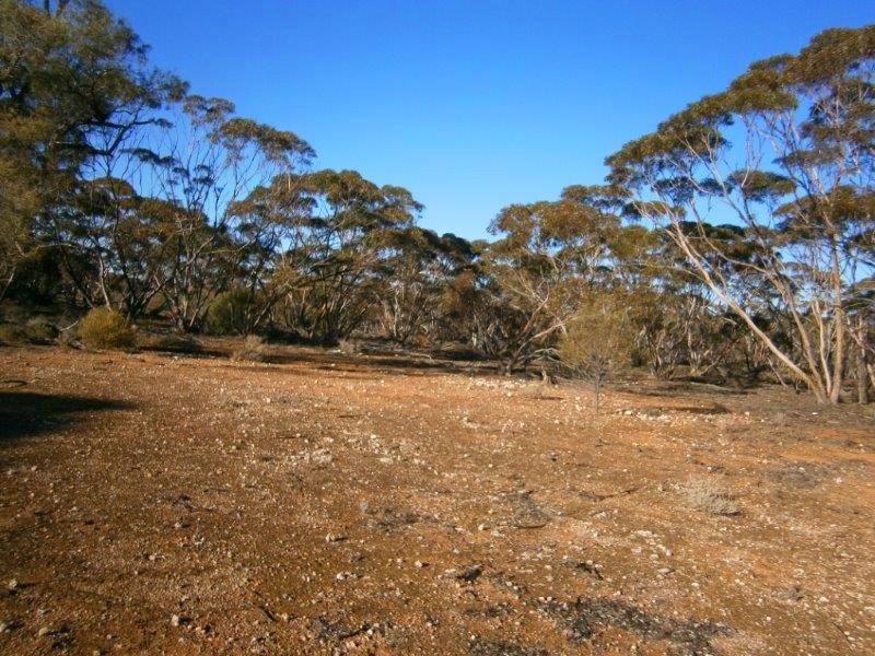 Section 113 Sturt Highway, Blanchetown SA 5357