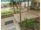 6 Anderson Terrace, Glossop SA 5344