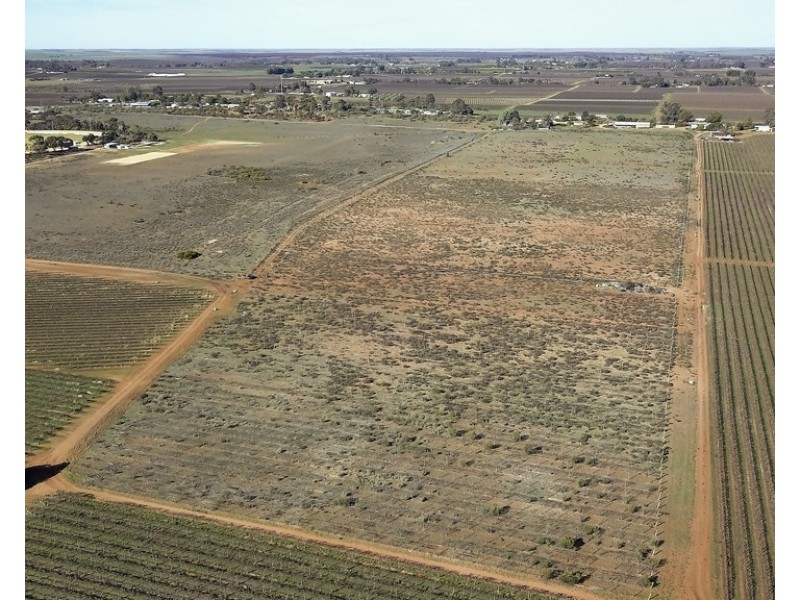 92 Alamein Avenue, Loxton SA 5333