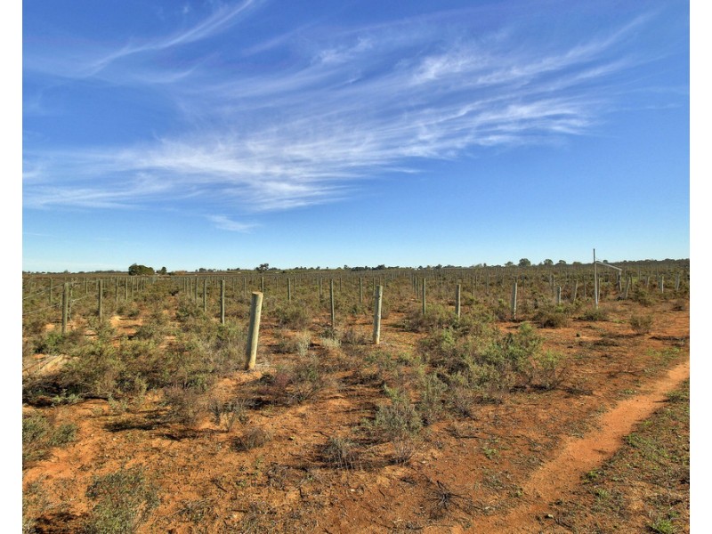 92 Alamein Avenue, Loxton SA 5333