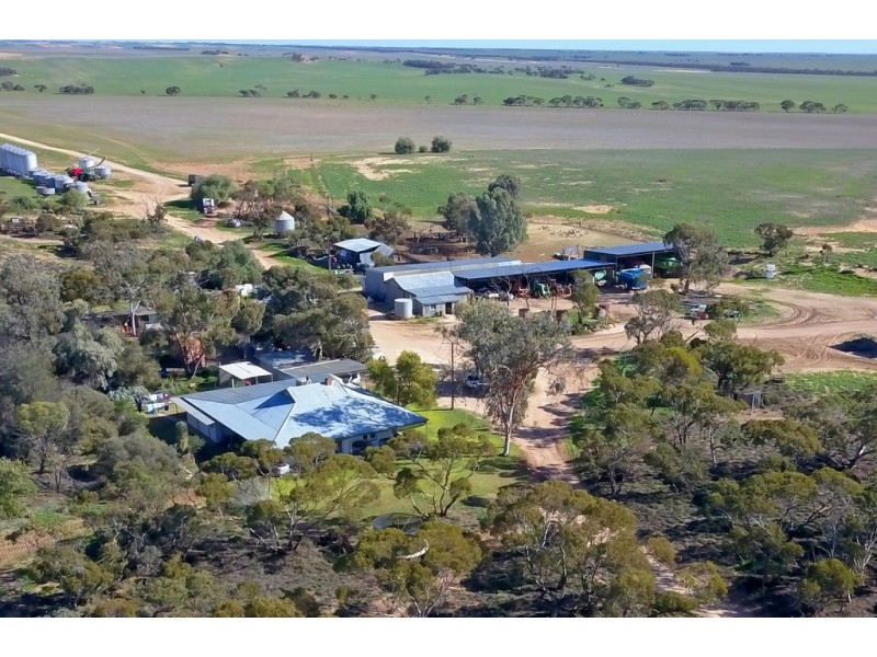 266 and 1208 Moonah Bore Rd, Meribah SA 5311