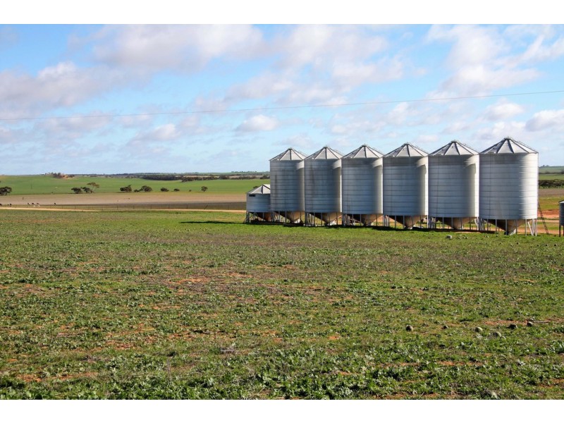 266 and 1208 Moonah Bore Rd, Meribah SA 5311