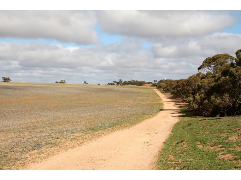 266 and 1208 Moonah Bore Rd, Meribah SA 5311