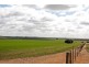 266 and 1208 Moonah Bore Rd, Meribah SA 5311