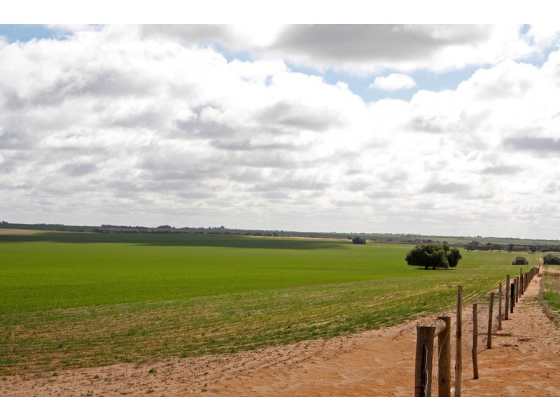 266 and 1208 Moonah Bore Rd, Meribah SA 5311