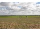 266 and 1208 Moonah Bore Rd, Meribah SA 5311