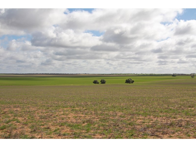 266 and 1208 Moonah Bore Rd, Meribah SA 5311