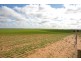 266 and 1208 Moonah Bore Rd, Meribah SA 5311