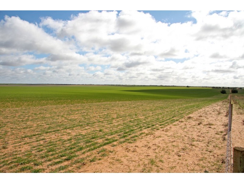 266 and 1208 Moonah Bore Rd, Meribah SA 5311