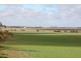 266 and 1208 Moonah Bore Rd, Meribah SA 5311