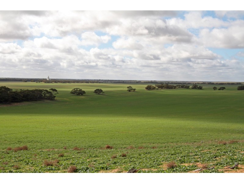 266 and 1208 Moonah Bore Rd, Meribah SA 5311