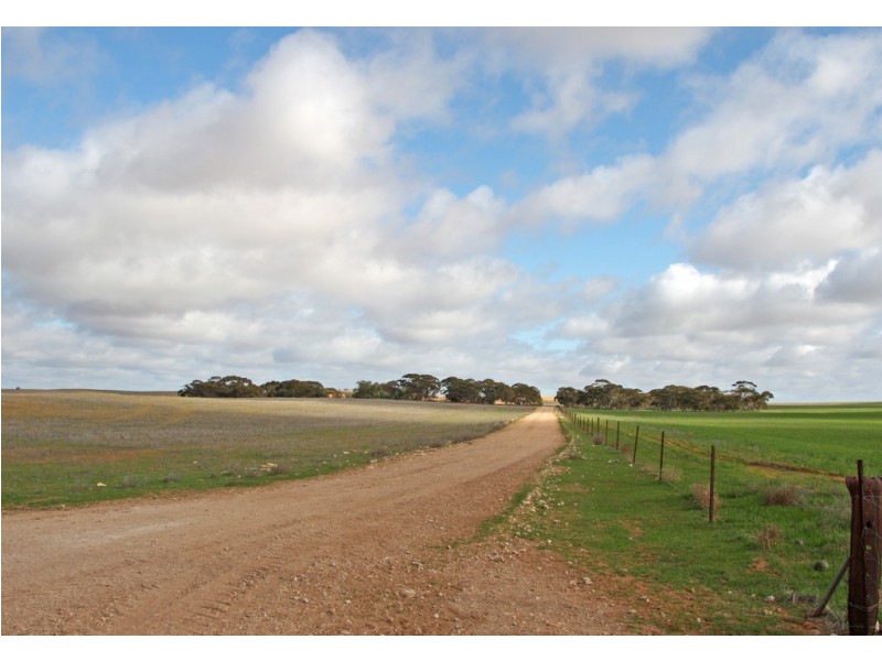 266 and 1208 Moonah Bore Rd, Meribah SA 5311