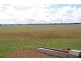 266 and 1208 Moonah Bore Rd, Meribah SA 5311