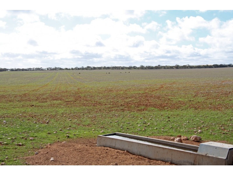 266 and 1208 Moonah Bore Rd, Meribah SA 5311