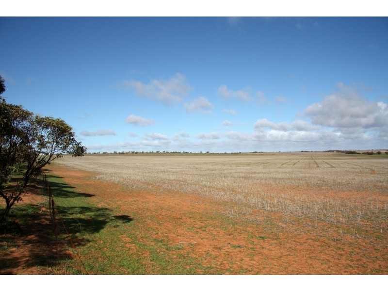 266 and 1208 Moonah Bore Rd, Meribah SA 5311