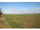 266 and 1208 Moonah Bore Rd, Meribah SA 5311