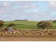 266 and 1208 Moonah Bore Rd, Meribah SA 5311