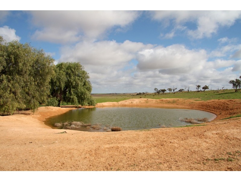 266 and 1208 Moonah Bore Rd, Meribah SA 5311