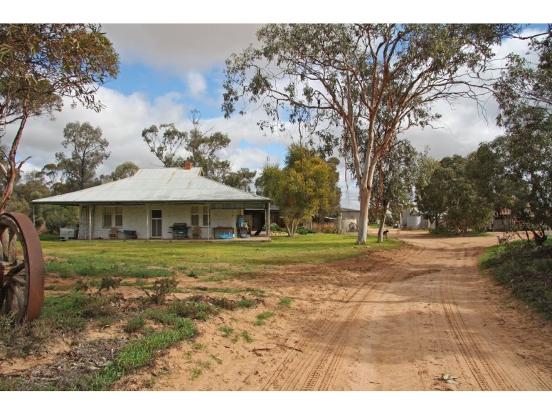 266 and 1208 Moonah Bore Rd, Meribah SA 5311