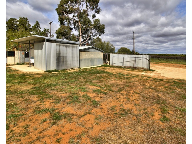 184 ANDERSON ROAD, Loxton SA 5333