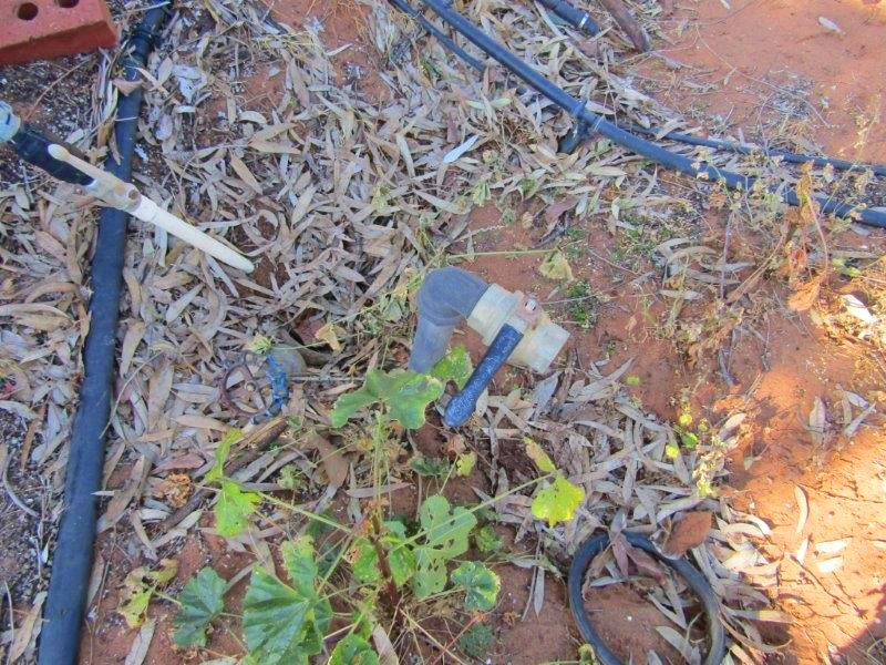 Lot 8 Dearman Road, Via Waikerie, Golden Heights SA 5322