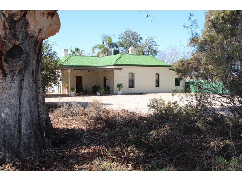 204 Twentyfirst Street, Renmark SA 5341