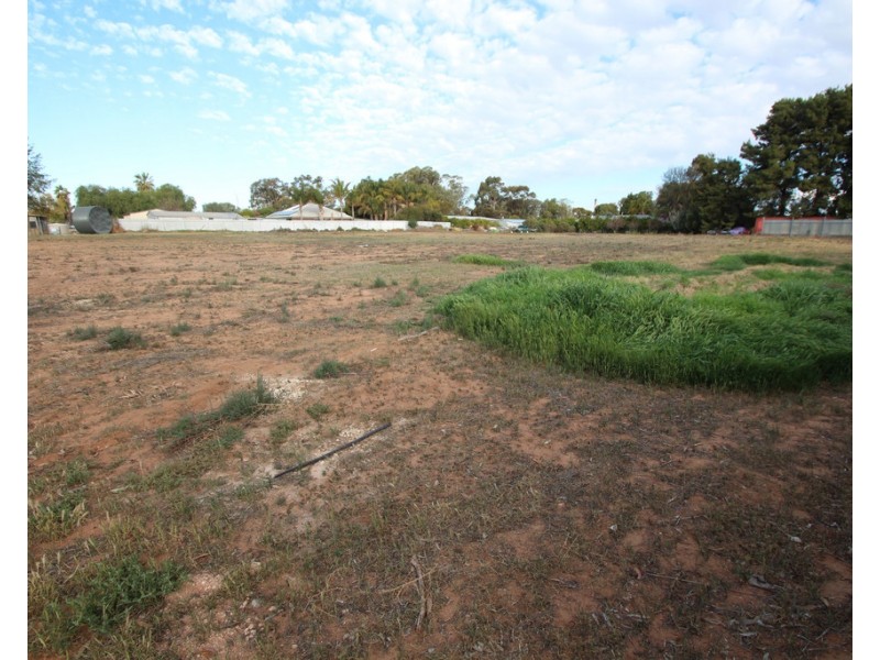 Lot 52 Arumpo Street, Renmark SA 5341