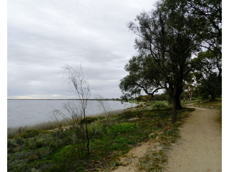 3/42 Queen Elizabeth Drive, Barmera SA 5345