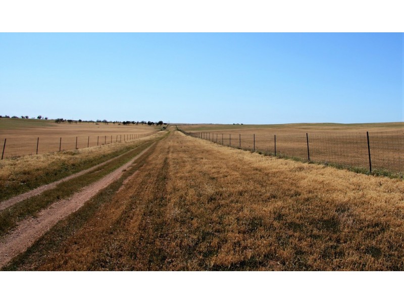 5725 Karoonda Highway, Wanbi SA 5310