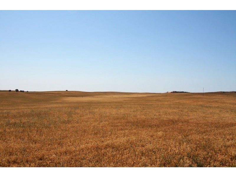 5725 Karoonda Highway, Wanbi SA 5310