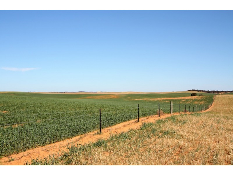 5725 Karoonda Highway, Wanbi SA 5310