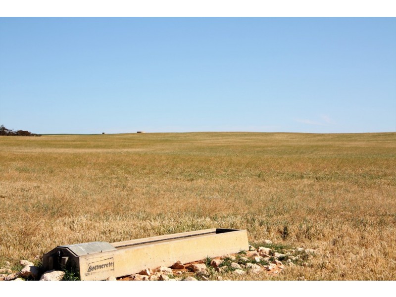 5725 Karoonda Highway, Wanbi SA 5310