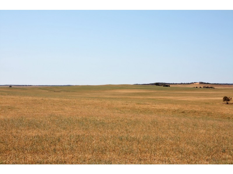 5725 Karoonda Highway, Wanbi SA 5310