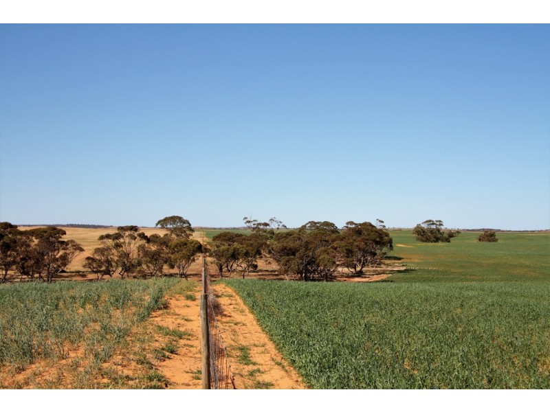 5725 Karoonda Highway, Wanbi SA 5310