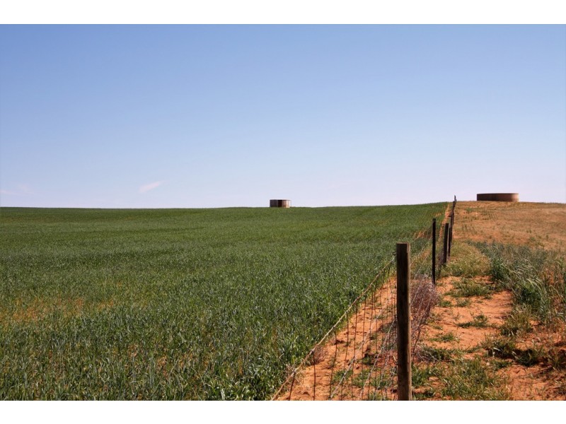 5725 Karoonda Highway, Wanbi SA 5310