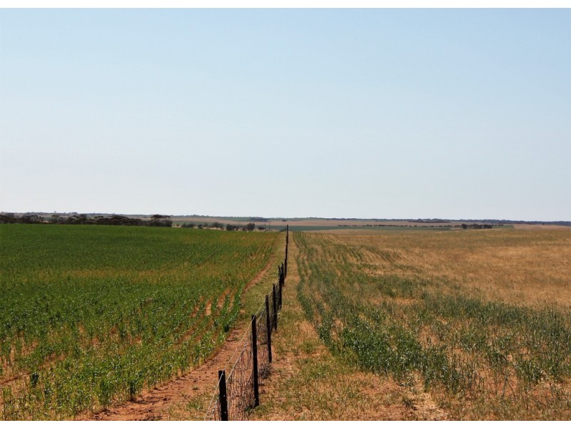 5725 Karoonda Highway, Wanbi SA 5310