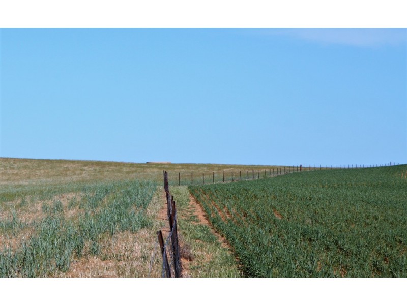 5725 Karoonda Highway, Wanbi SA 5310