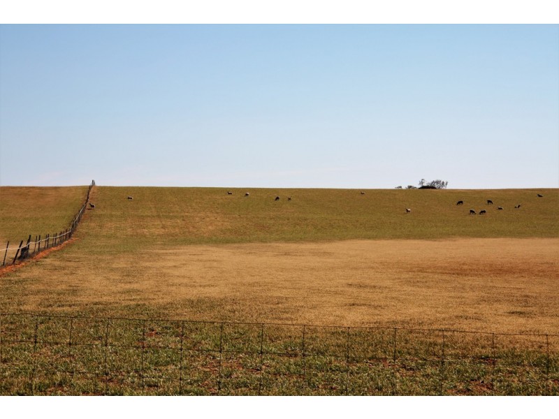 5725 Karoonda Highway, Wanbi SA 5310