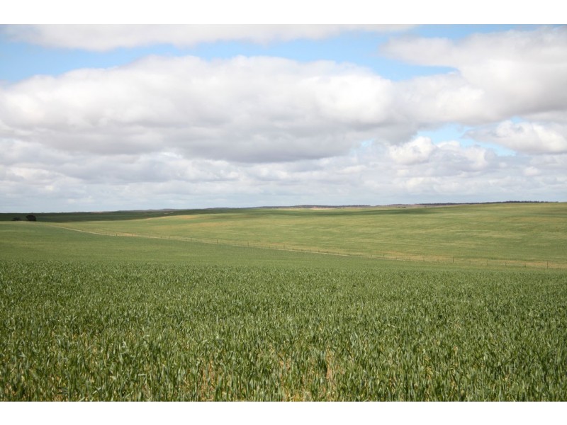 5725 Karoonda Highway, Wanbi SA 5310