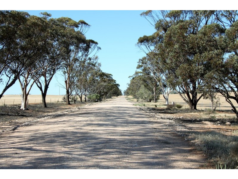 5725 Karoonda Highway, Wanbi SA 5310