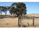 5725 Karoonda Highway, Wanbi SA 5310
