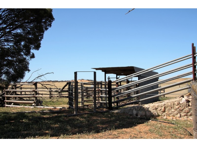 5725 Karoonda Highway, Wanbi SA 5310