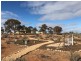 498 Ring Road, Morgan SA 5320
