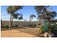 498 Ring Road, Morgan SA 5320